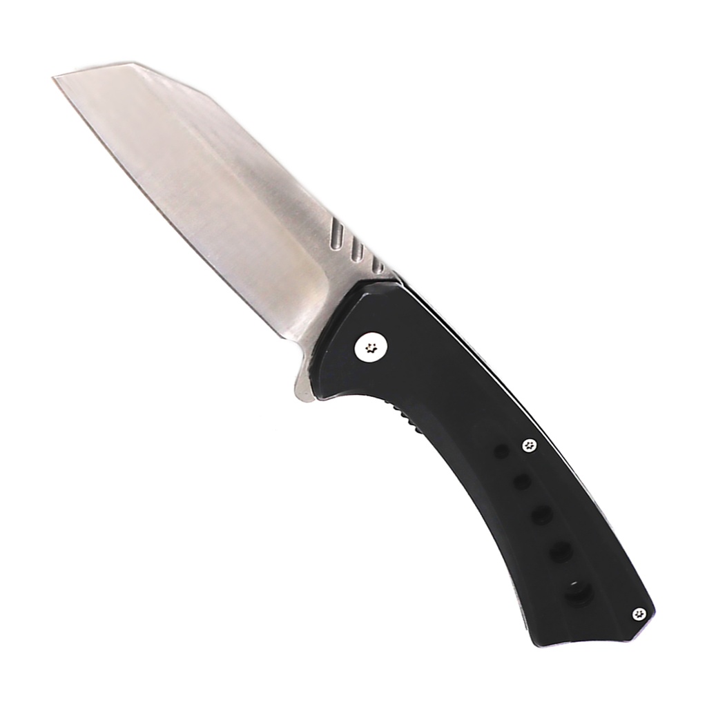 SAMPLE -Lustrous Edge Quick-Deploy Spring-Assisted Knife - Chrome